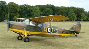 Hornet Moth W9385